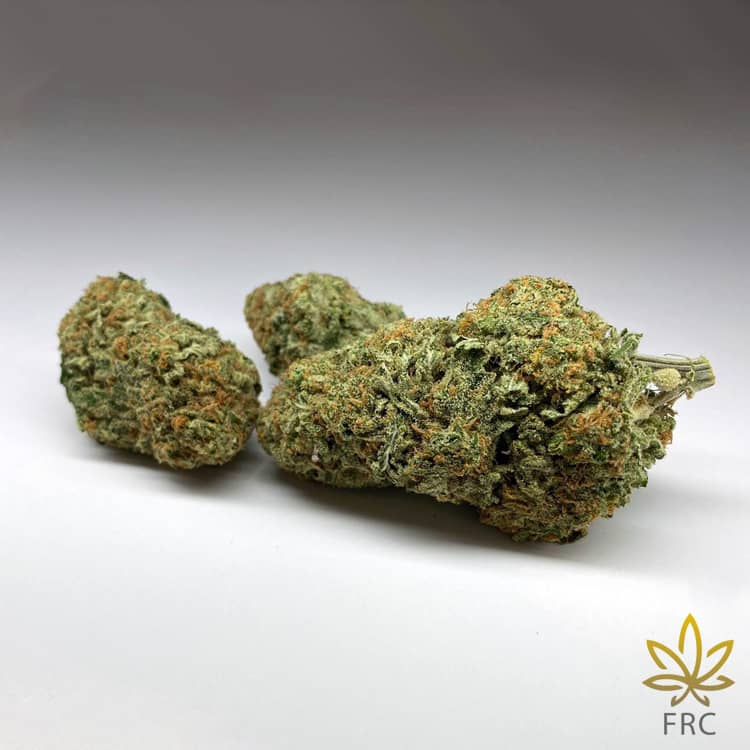 Sherbert Cannabis AAA at top rated Cannabis online dispensary BC